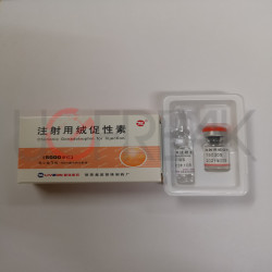 HCG 5000 IU Livzon INTL